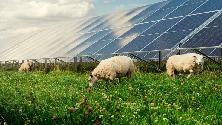 Good klimatnews #40.